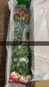 ريما العتيبي review photo