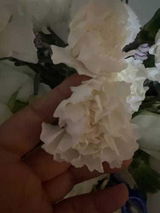 هند عبدالعزيز review photo