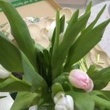 Razan Al review photo