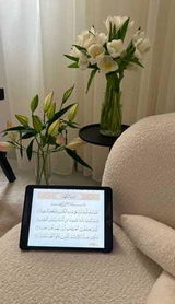 غدير الفيصل review photo