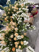 لطيفة عبد العزيز review photo
