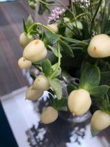 Hawazen Altawil review photo