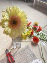 Rawan Shalan review photo