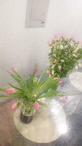 ذكريات البوعينين review photo