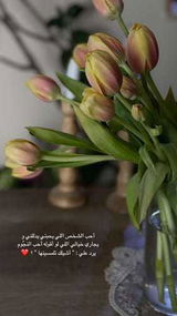 زهراء ناصر review photo