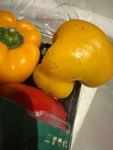يوسف ريس review photo