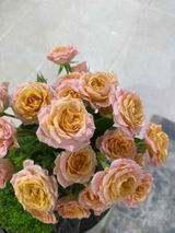 هبه الزعيم review photo