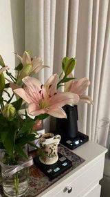 Raghda review photo