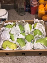 Ghodaf Qaffas review photo