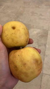 حمده الزهراني review photo