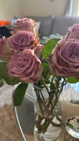 somaya alwaeli review photo