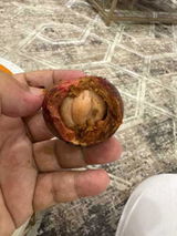 ali daiel review photo