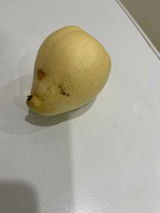 Hamad Sultan review photo