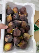 dr mansoor m review photo