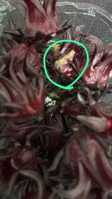 عبدالعزيز زريقات review photo