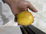 dr mansoor m review photo