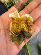 العنود حسين review photo