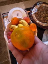 Moataz H Sorour review photo