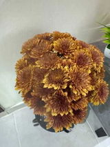 هبه الزعيم review photo