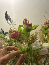 ABDO Maziad review photo
