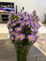 تهاني ناصر البقمي review photo