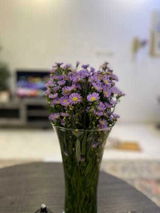 تهاني ناصر البقمي review photo