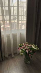 اصاله يحيى review photo
