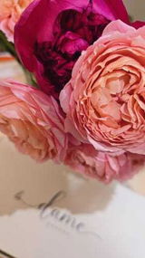 فاطمة يوسف review photo