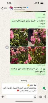 May Azzahrani review photo