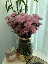 Mimi_Haz Alhazmi review photo