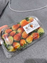 lina omari review photo