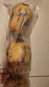 فاطمه باجبير review photo