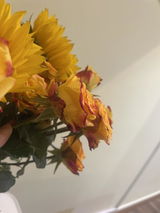 روان سعدي review photo