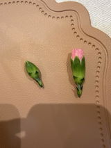 Muna Alghamdi review photo