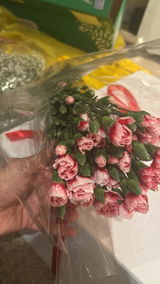 لطيفه الحبابي review photo
