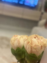 نوره عبدالعزيز review photo