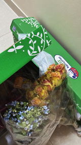 توحه الشلوي review photo