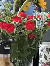 سارا الرويشدي review photo