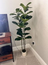 Kelbow review photo