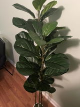 Gisselle R. review photo