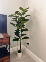 Kelbow review photo