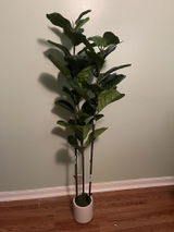 Gisselle R. review photo