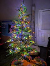 Debra L. review photo
