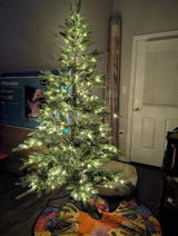 Debra L. review photo