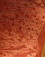 Elif review photo