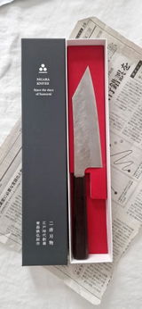 Xavier Silvestri review photo