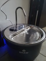 Robi review photo