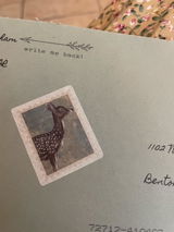 Phyllis Reding review photo