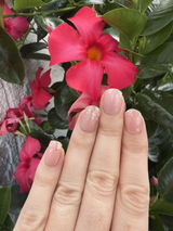 Nagelfolien Refill-Set Medium (5 Farben)