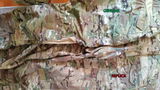 D.S. review photo